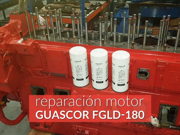 reparacion-motor-guascor-fgld180