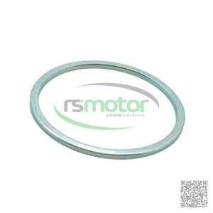 Arandela Guascor RS-1520097