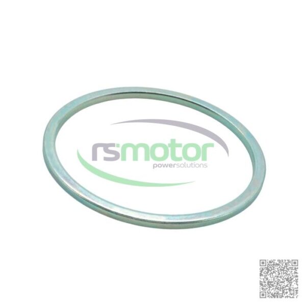 Arandela Guascor RS-1520097