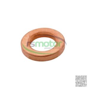 Cylinder Head Washer Guascor RS-1610048