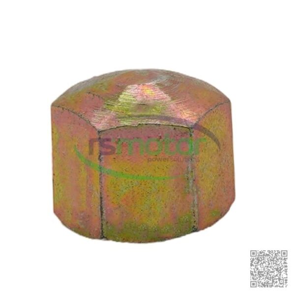 Nut Guascor RS-1610201