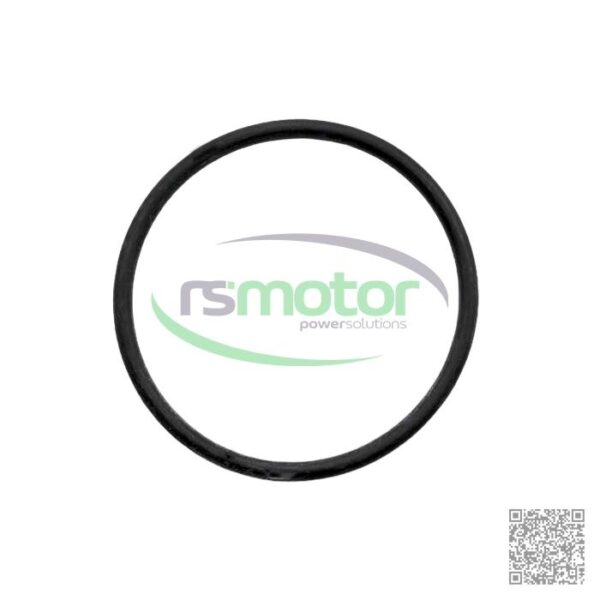 O-Ring Guascor RS-7212643