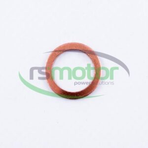 Sealing Ring MWM RS-01102146