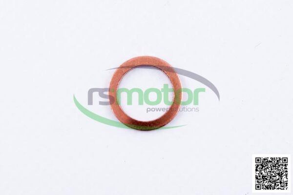 Sealing Ring MWM RS-01102146