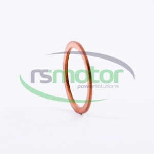 Sealing Ring MWM RS-01103520