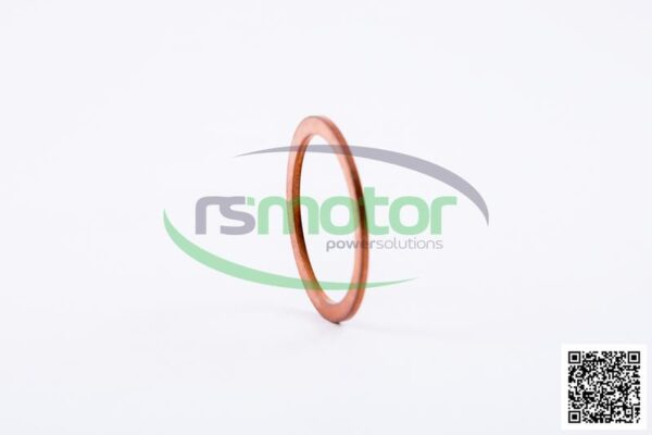 Sealing Ring MWM RS-01103520