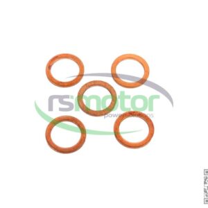 Sealing Ring MWM RS-01118645