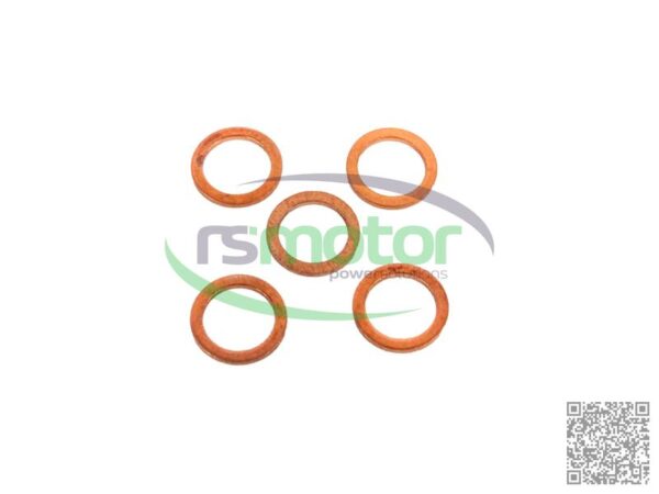 Sealing Ring MWM RS-01118645
