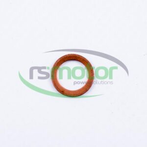 Sealing Ring MWM RS-01118647