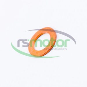 Sealing Ring MWM RS-01118654