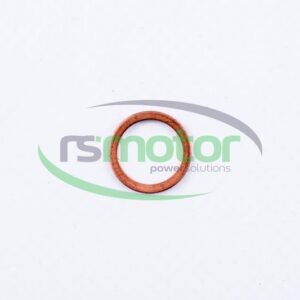 Sealing Ring MWM RS-01118659