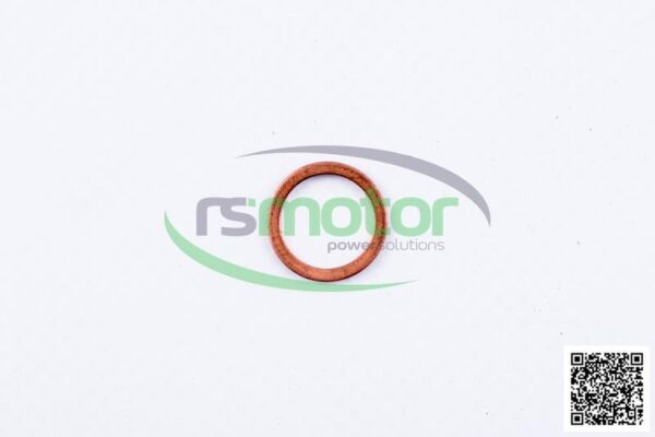 Sealing Ring MWM RS-01118659