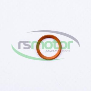 Sealing Ring MWM RS-01118664