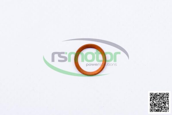 Sealing Ring MWM RS-01118664