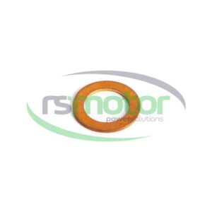 Sealing Ring MWM RS-01118669