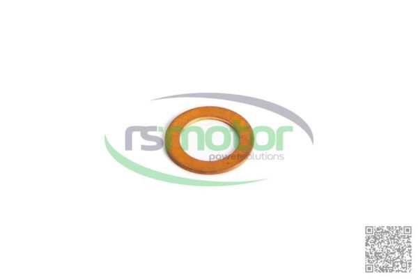 Sealing Ring MWM RS-01118669