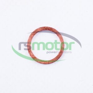 Sealing Ring MWM RS-01118688