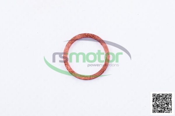 Sealing Ring MWM RS-01118688