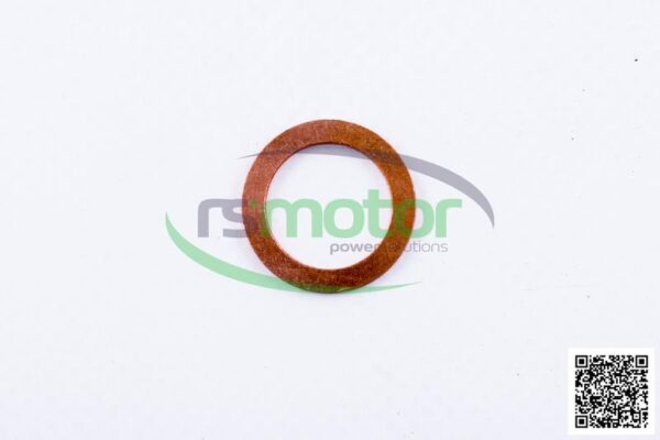 Sealing Ring MWM RS-01118693