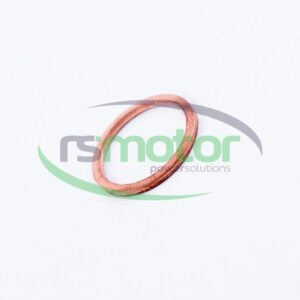 Sealing Ring MWM RS-01118700