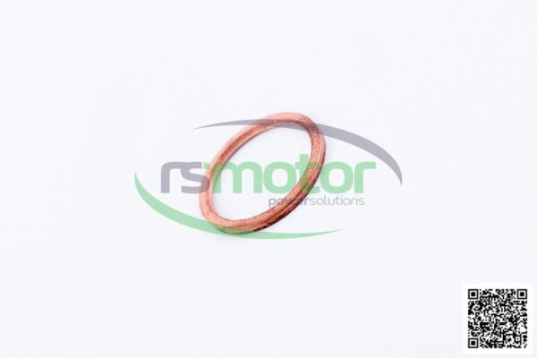 Sealing Ring MWM RS-01118700