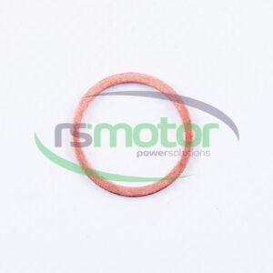 Sealing Ring MWM RS-01118713