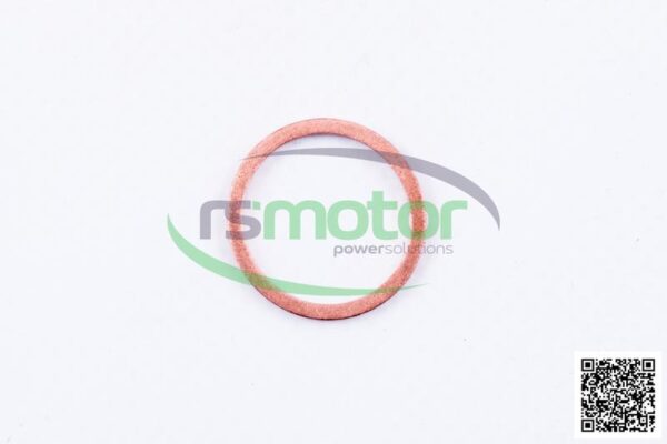 Sealing Ring MWM RS-01118713