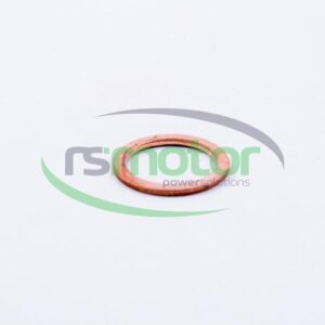 Sealing Ring MWM RS-01118718