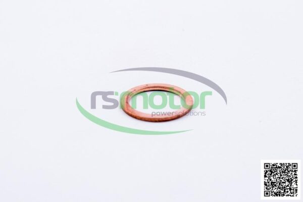 Sealing Ring MWM RS-01118718