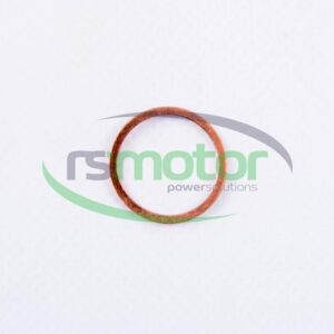 Sealing Ring MWM RS-01118727