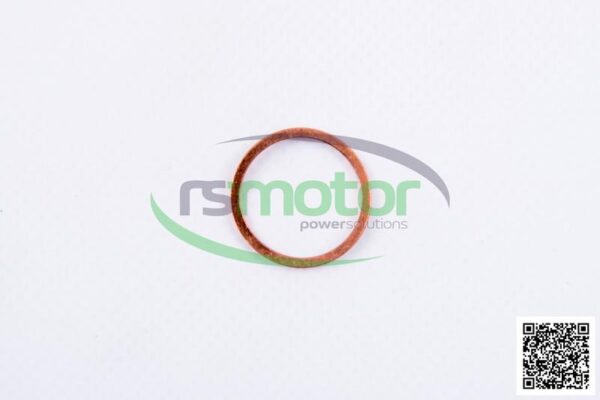 Sealing Ring MWM RS-01118727
