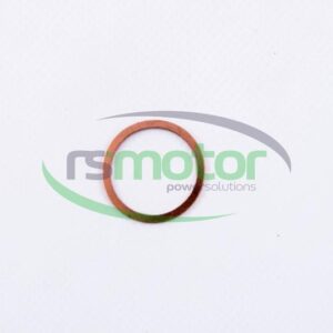 Sealing Ring MWM RS-01118737