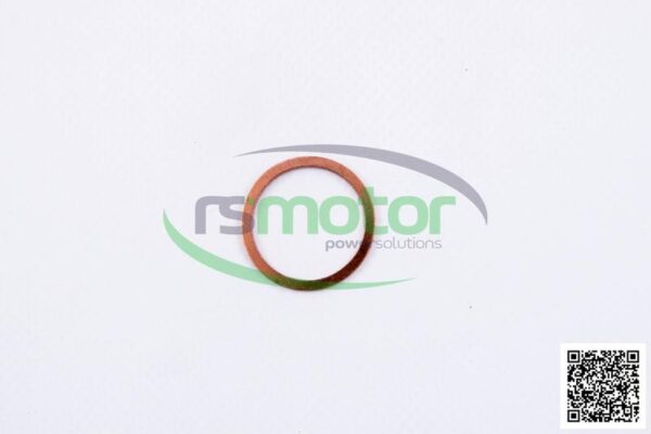 Anillo de SelladoMWM RS-01118737