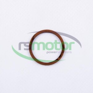 Sealing Ring MWM RS-01118748