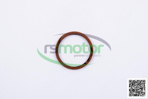 Sealing Ring MWM RS-01118748