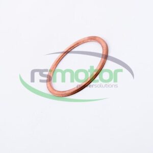 Sealing Ring MWM RS-01118784