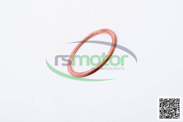 Sealing Ring MWM RS-01118784