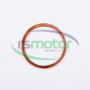 Sealing Ring MWM RS-01118841