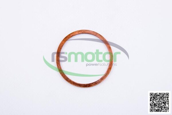 Sealing Ring MWM RS-01118841