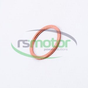 Sealing Ring MWM RS-01118943