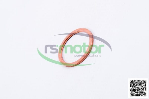 Sealing Ring MWM RS-01118943
