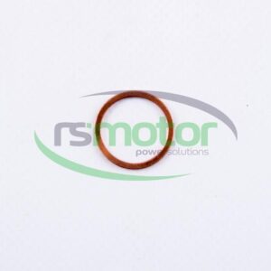Sealing Ring MWM RS-01124010