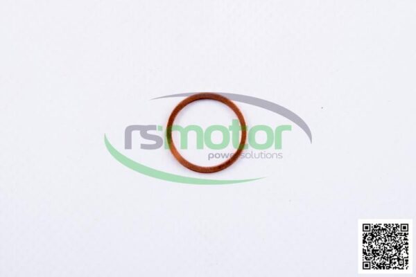 Sealing Ring MWM RS-01124010