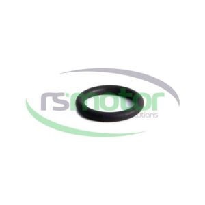 Junta tórica MWM RS-01138429