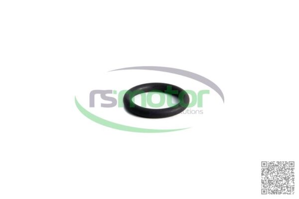 O-seal MWM RS-01138429