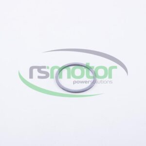 Sealing Ring MWM RS-01139884