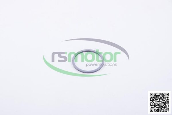 Sealing Ring MWM RS-01139884