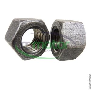 Hexagon Nut MWM RS-01143195