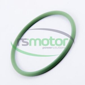 Junta tórica MWM RS-01151152