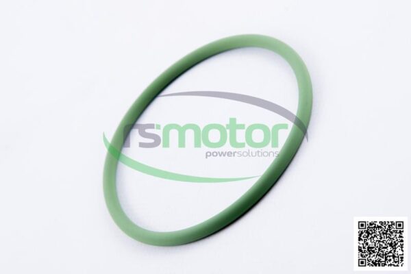 O-seal MWM RS-01151152